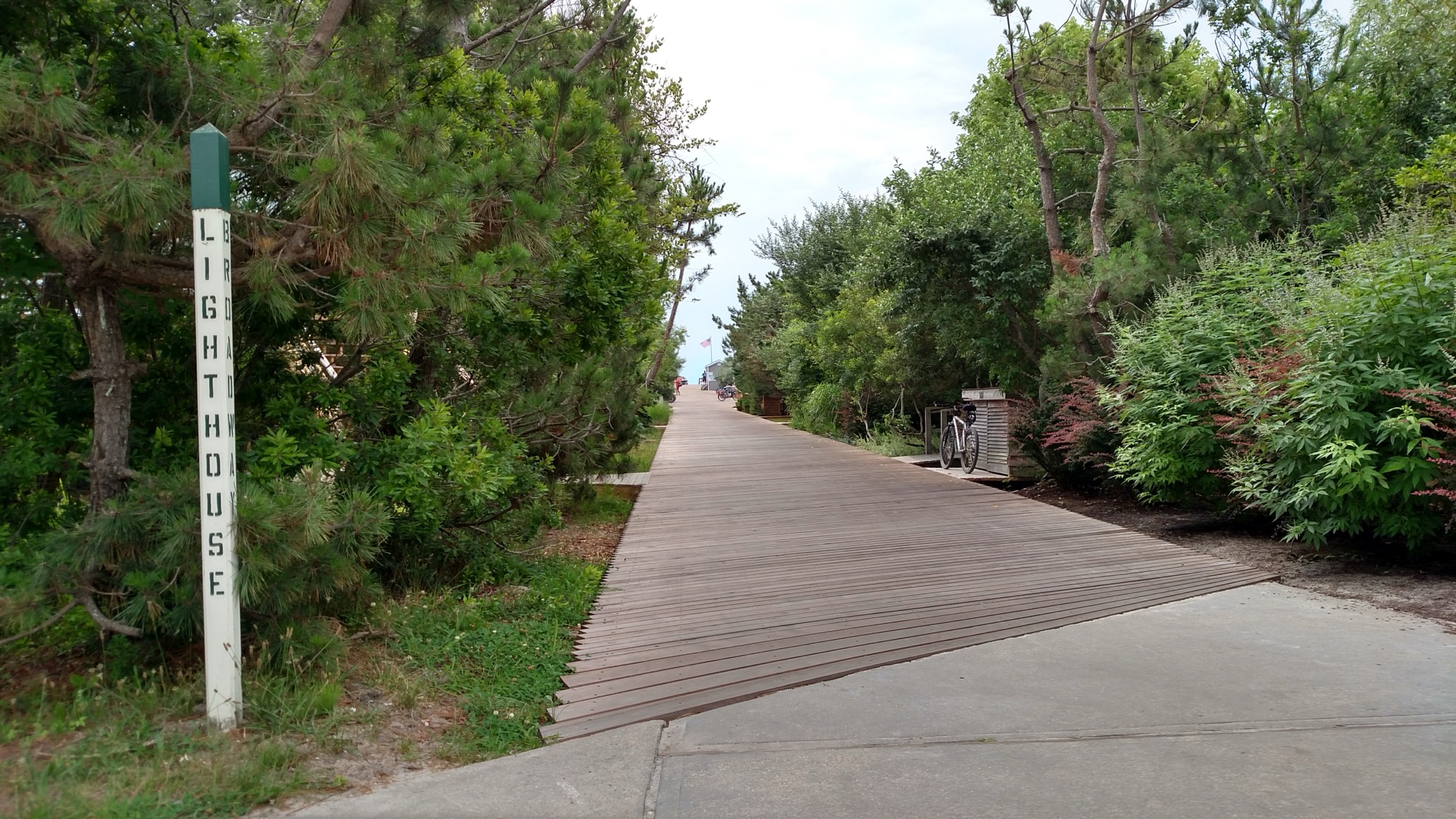 A boardwalk running straight between pines, with the white Lighthouse walk post lettered down its side